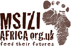 Msizi Africa - Feed their futures.